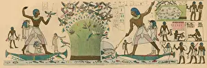 Bold: Ancient Egypt, Bird Hunting