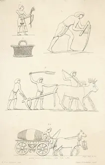 Cask: ANCIENT EGYPT FARMING