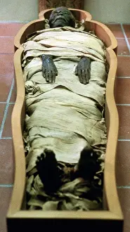 Mummy: Ancient Egyptian mummy in wrappings