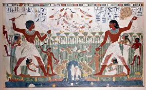 Numerous: Ancient Egyptians hunting wildfowl with throwing