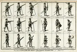 Drummer: The Ancient English Musket & Halbert Exercise
