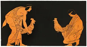 Cocks: Ancient Greek Cockfight