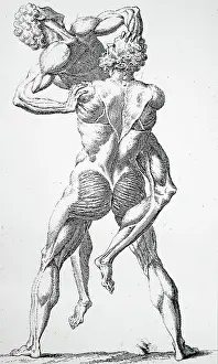 Diagram: The ancient Greek statue of Hercules and Antaeus