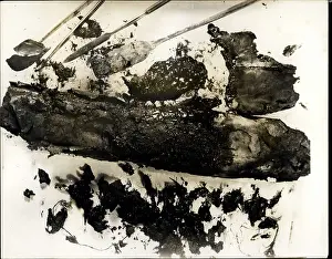 Thorough: Ancient Jewish scroll and original page, Book of Isaiah