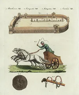Charioteer: Ancient Roman Circus and chariot race