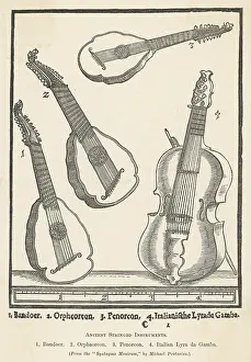 Gamba: ANCIENT STRING INSTRUM