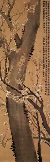 Nong: Ancient Tree Trunk