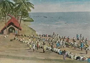 Convicts: ANDAMAN ISLAND CONVICTS