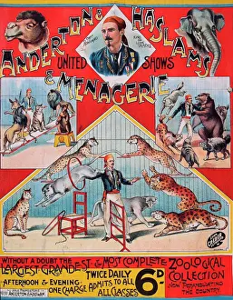 Zoos: Anderton and Haslam's Menagerie
