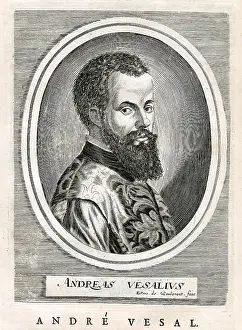 Antiquarian Images: Andre Vesal