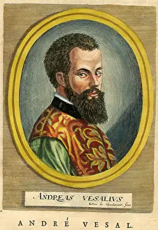 Antiquarian Images: Andre Vesal