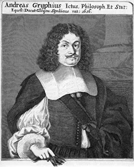 Greif: Andreas Gryphius