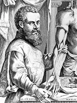Andreas: Andreas Vesalius, 1542