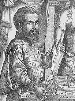 Vesalius: Andreas Vesalius