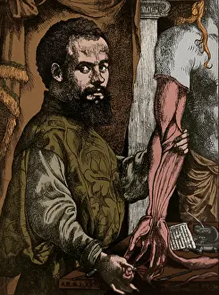 Accurate: Andreas Vesalius, Flemish Anatomist