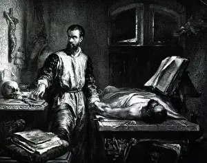 Accurate: Andreas Vesalius, Flemish Anatomist