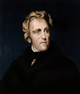 Hickory: Andrew Jackson, 7th U.S. President