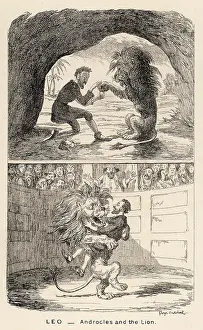 Repaid: Androcles Cartoon