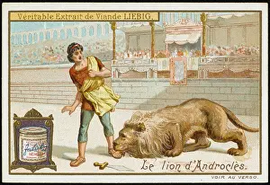Coliseum: Androcles - Lion