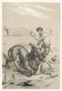 Recognises: Androcles - Lion