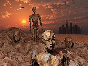 Boulder: Android fossils preserved in sedimentary rock on an alien ?