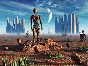 Boulder: Android fossils preserved in sedimentary rock on an alien ?
