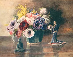 Multicoloured: Anemones