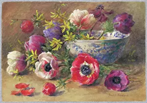 Pressland: Anemones