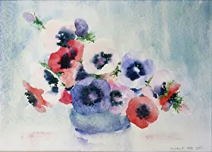 Yate: Anemones