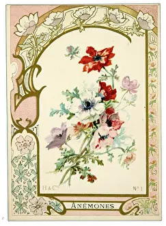 Anemones: Anemones with a decorative border