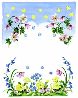 Ockenden: Anemones, forget-me-nots, primroses etc