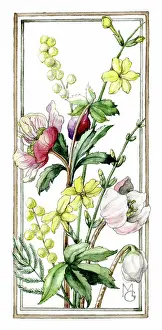 Mimosa: Anemones and Mimosa