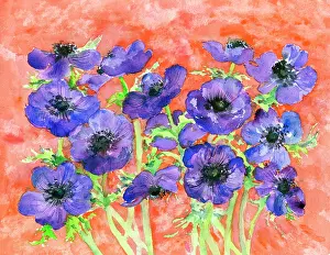 Coulson: Anemones on a red background