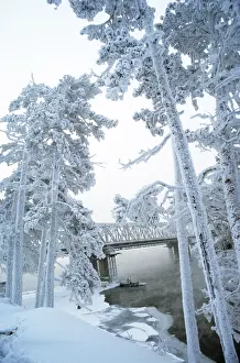 Environs: The Angara River in the environs of Ust-Ilimsk, 1984