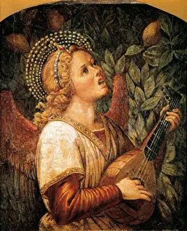 Quattrocento: Angel Musician