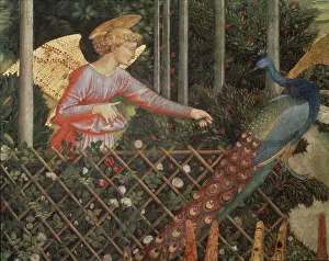 Benozzo: Angel and a Peacock