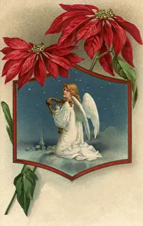 Poinsettias: Angel Below Poinsettias