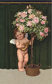 Strumming: Angel and Rose Tree