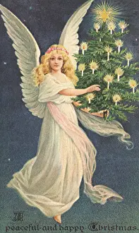 Diaphanous: Angel in Sky wTree