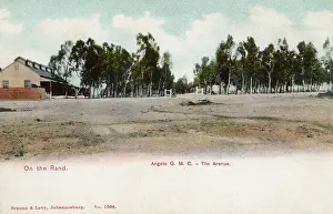 Mines: Angelo Gold Mine, East Rand, Transvaal, South Africa