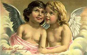 Drape: Angels in Pink Drape