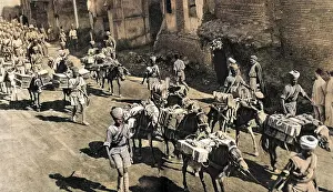 An Anglo-Indian column in Baghdad during World War I