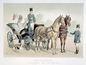 Lithography: Anglo-Norman horses