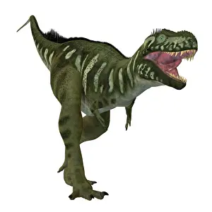 Bistahieversor: An angry Bistahieversor dinosaur, front view