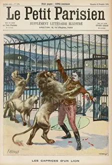 Injures: ANGRY CUBLESS LION