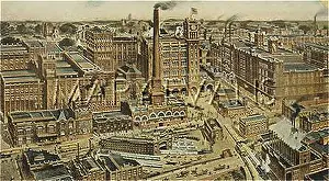 Budweiser: ANHEUSER-BUSCH BREWERY
