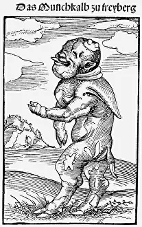 Interpreted: animal, animals, cattle (Bos primigenus taurus)