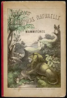 Hyenas: Animal Atlas