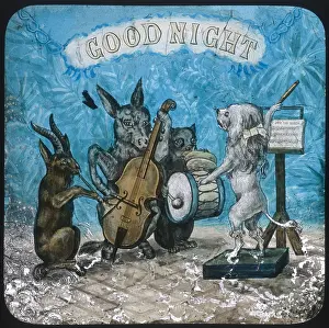 Percussionist: Animal Band Good Night