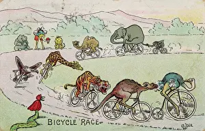 Farthing: ANIMAL BICYCLE RACE